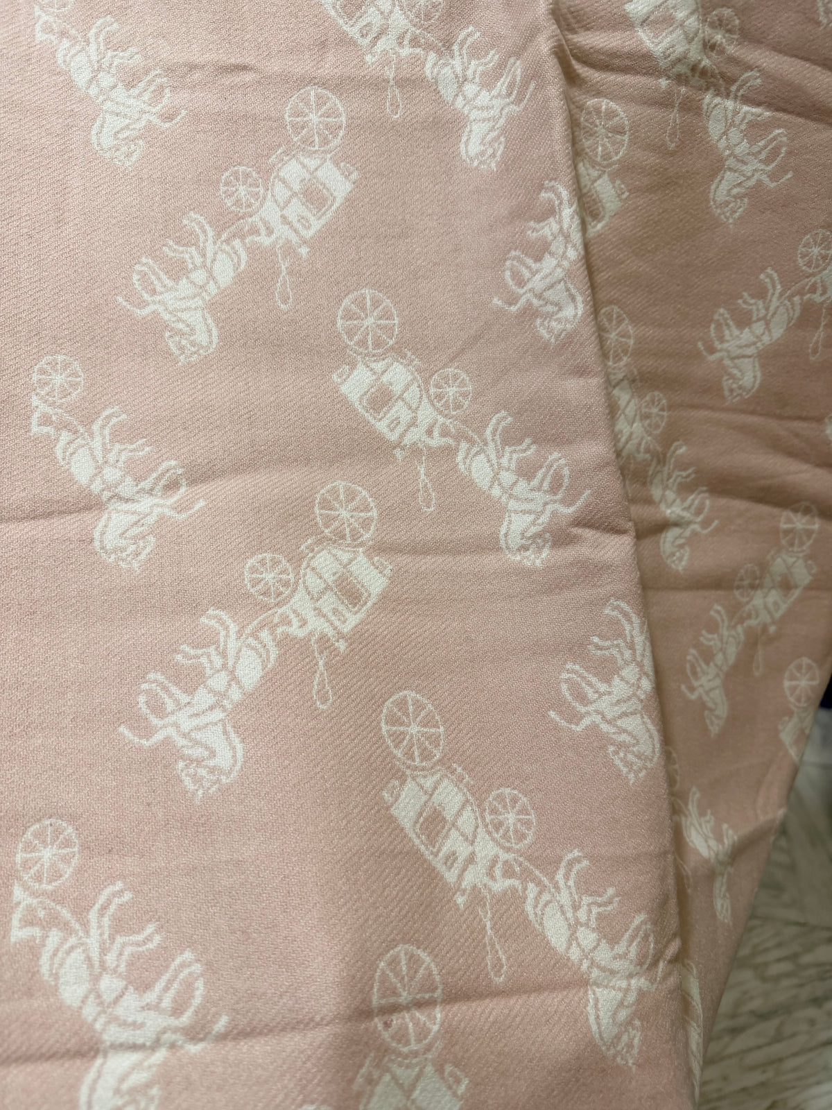 COACH Dusty Rose Classic Scarf