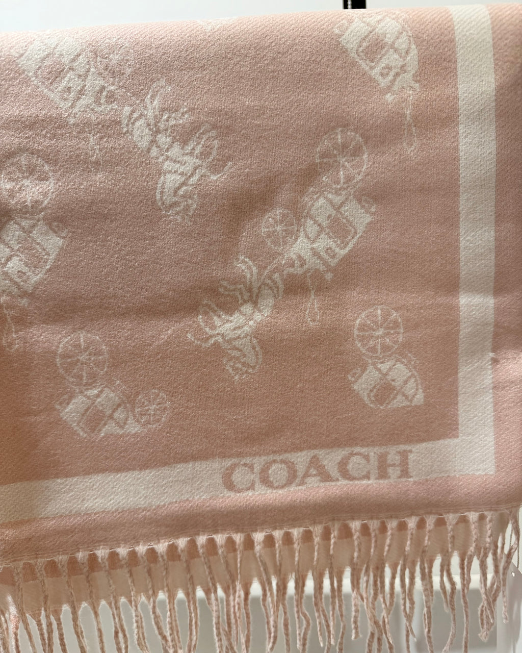COACH Dusty Rose Classic Scarf
