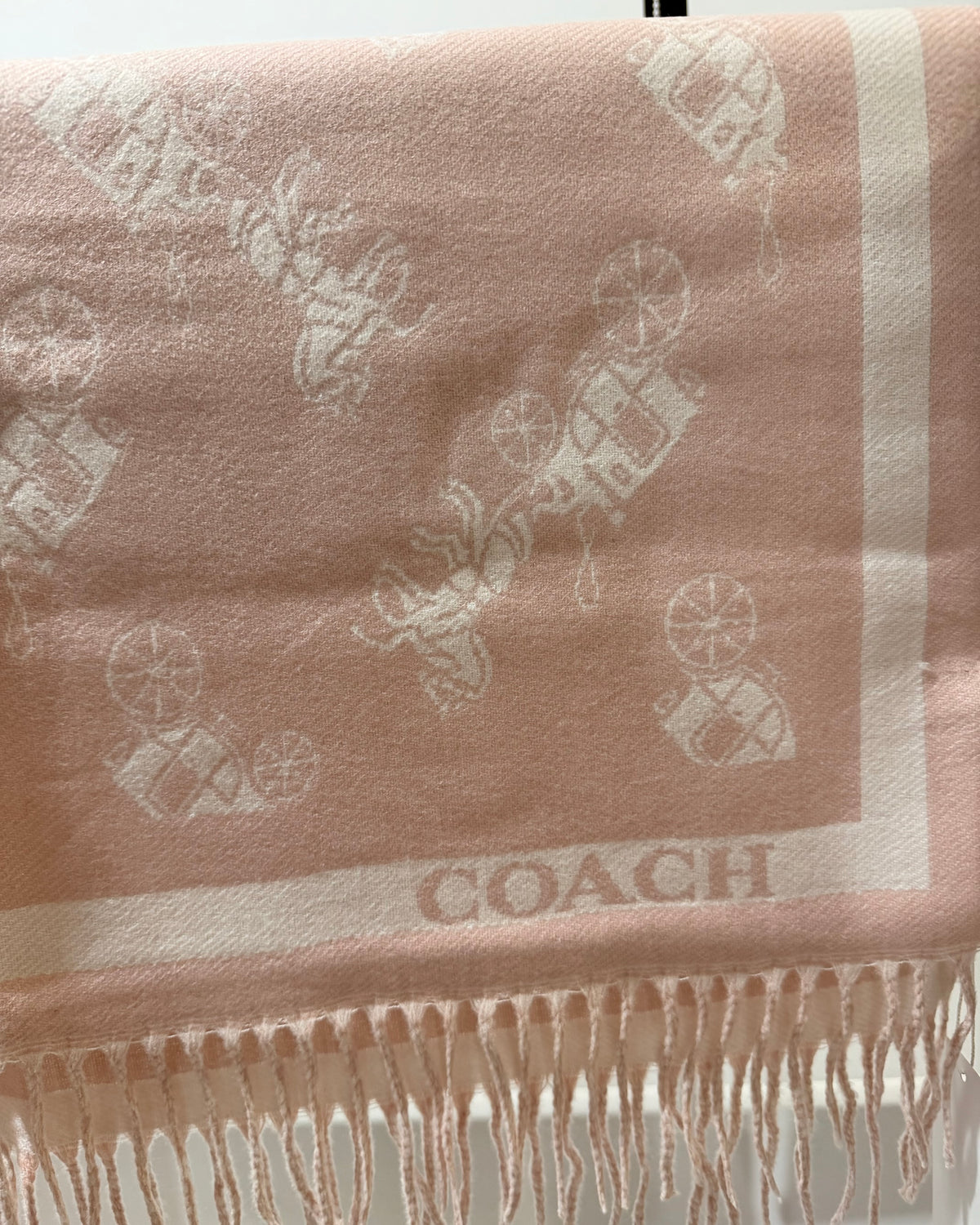COACH Dusty Rose Classic Scarf