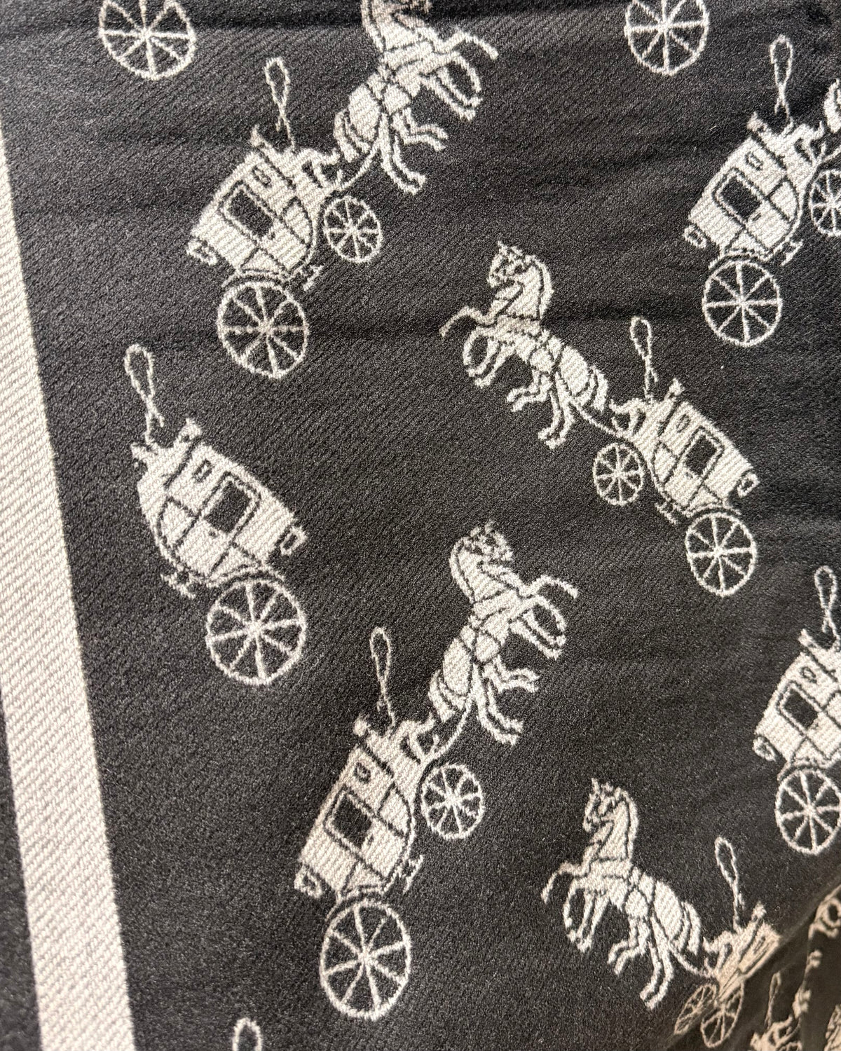 COACH Black Horse and Carriage Classic Scarf