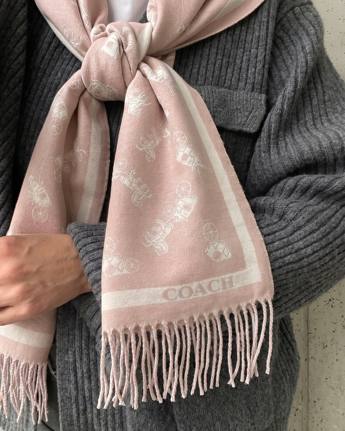 COACH Dusty Rose Classic Scarf