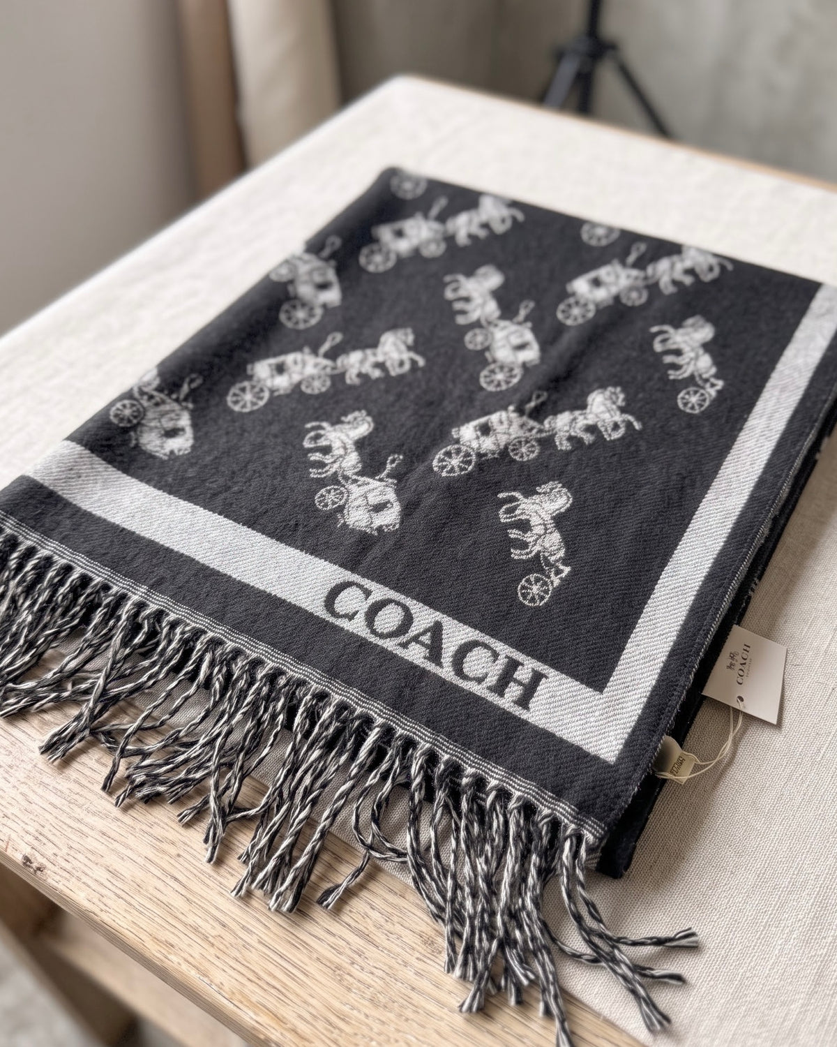 COACH Black Horse and Carriage Classic Scarf